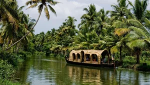 keralas-backwaters